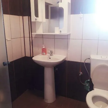 Vila Casa Radu *