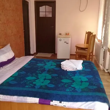 Vila Casa Radu