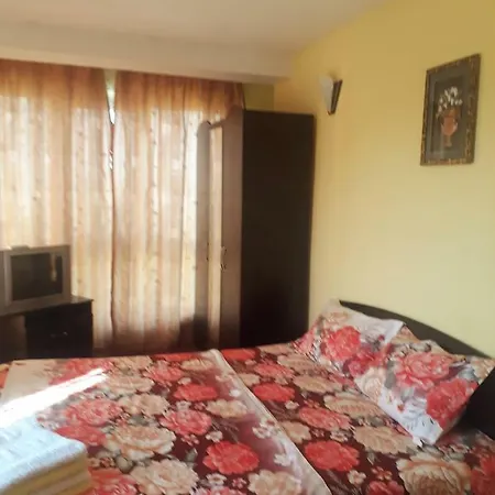 Vila Casa Radu